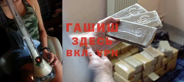 индика Костерёво