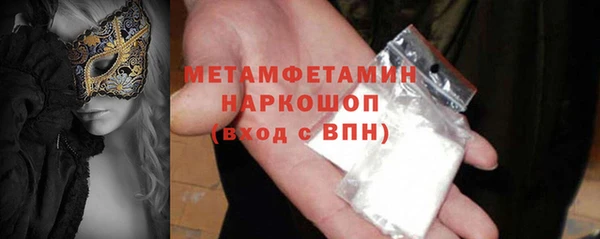 индика Костерёво