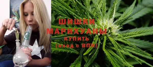 индика Костерёво