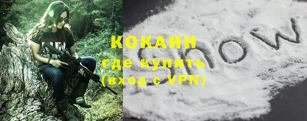PSILOCYBIN Коряжма