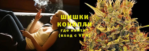 индика Костерёво