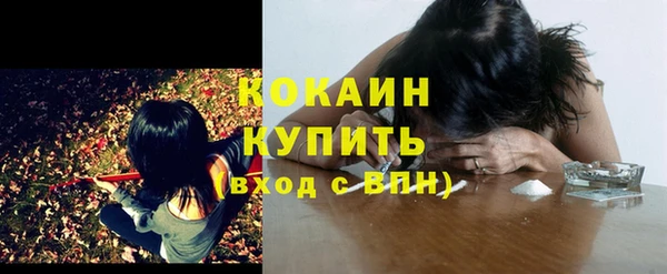 индика Костерёво