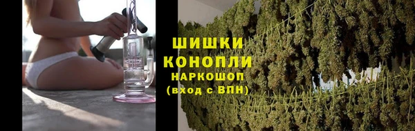 PSILOCYBIN Коряжма