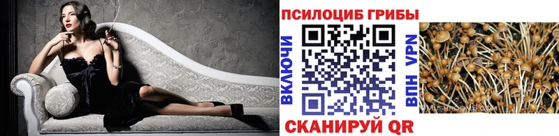 Псилоцибиновые грибы MAGIC MUSHROOMS  Коряжма 
