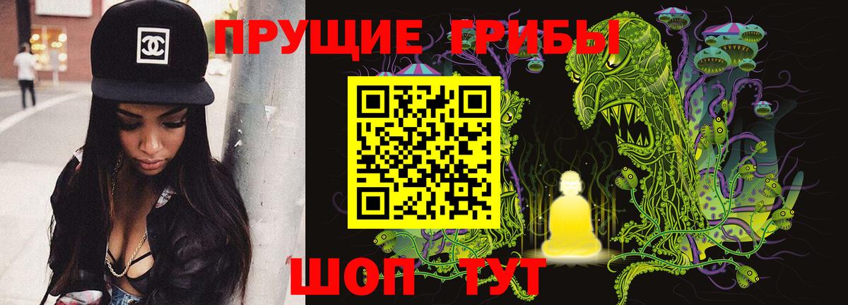 Коряжма  Псилоцибиновые грибы Magic Shrooms  Вход с VPN 